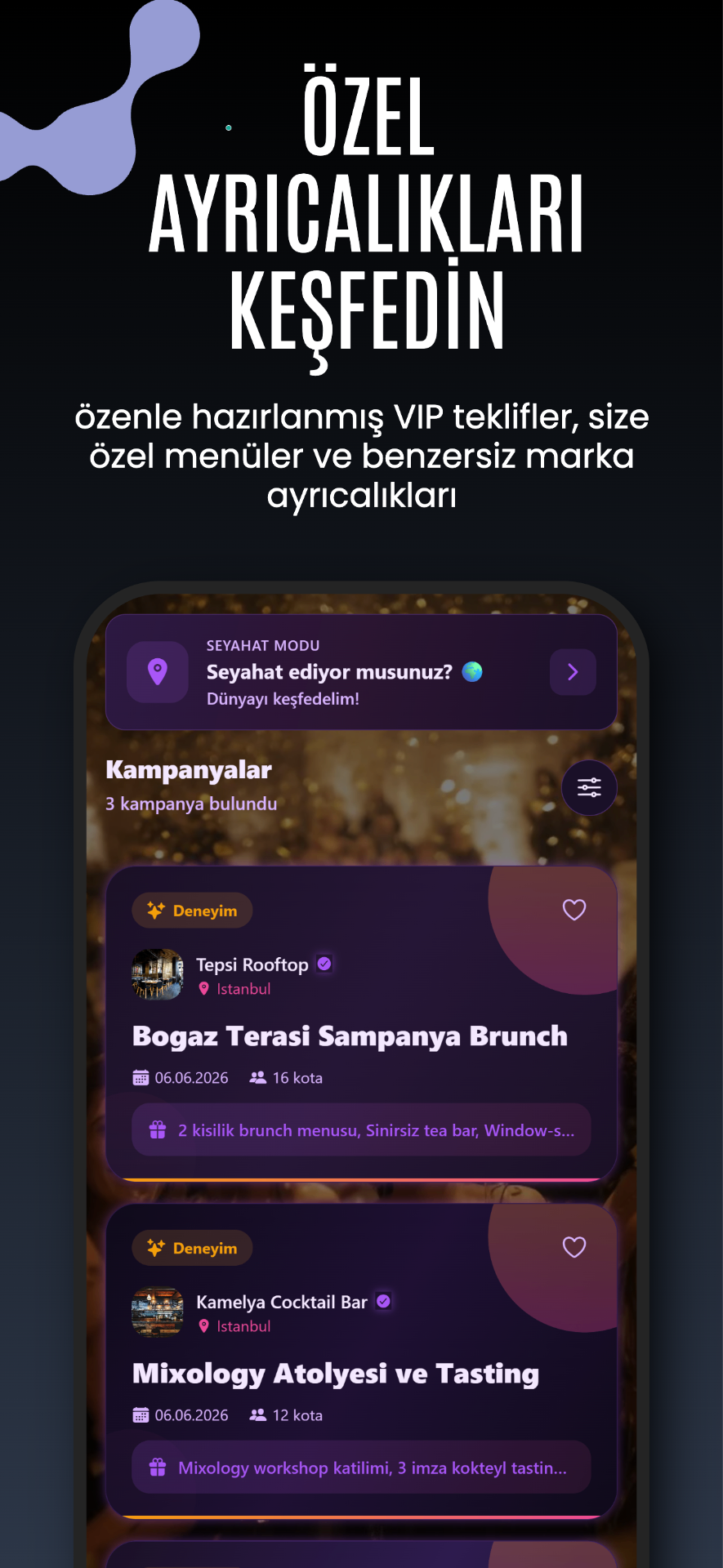 Keepitsecrets uygulaması Ayrıcalıklar ekranı